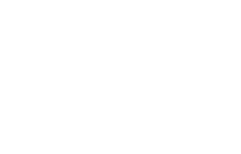 mvs-logo-white