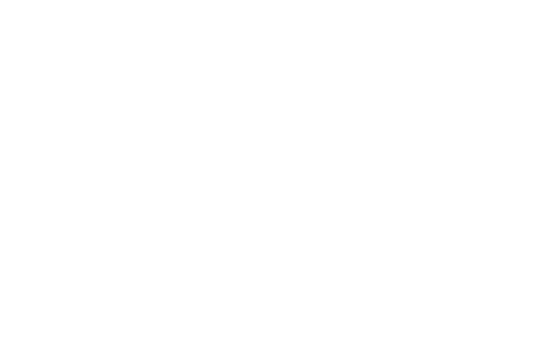mvs-logo-white